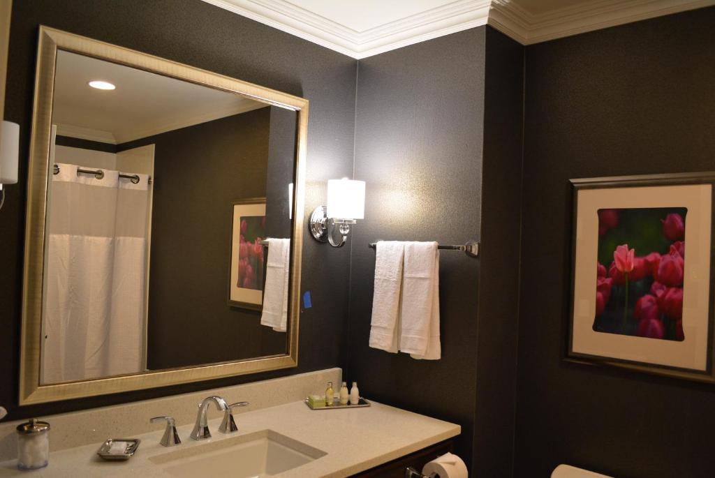 Contemporary King Suite
